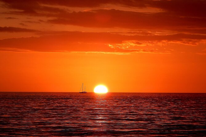 2 hour Tiki Pub Sensational Dolphin Sunset Cruise (Adults only) - What the two-hour itinerary feels like