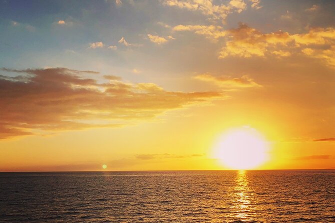 2 hour Tiki Pub Sensational Dolphin Sunset Cruise (Adults only) - A 25-person boat with a friendly social feel