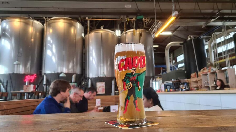 Antwerp: Pub Crawl in the Historical City - Timing, pickup, and walking pace