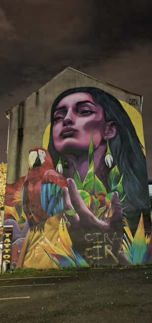 Belfast : Pub Music , Street Art Experience Walking Tour - Who should book this walking tour?