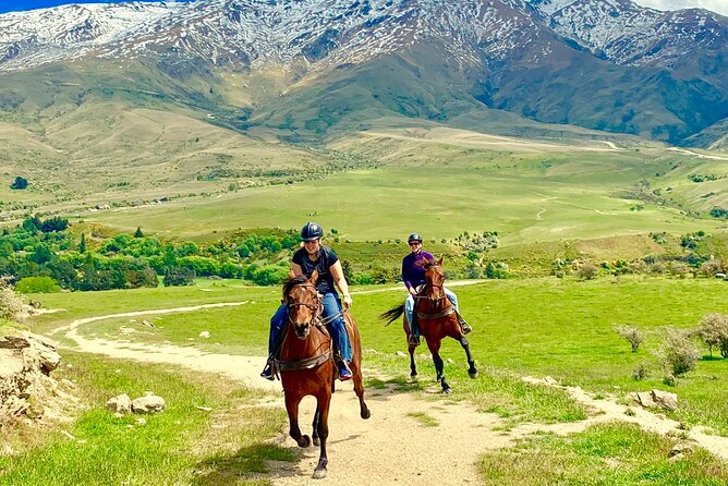 Cardrona High Country Pub Trail Horse Trek (Intermediate level+) - Why this ride feels different from a standard horse trek