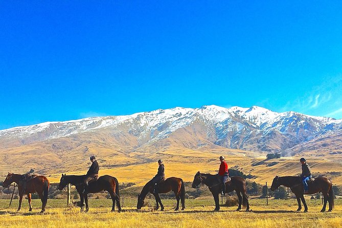 Cardrona High Country Pub Trail Horse Trek (Intermediate level+) - Gold-rush country with a guide beside you