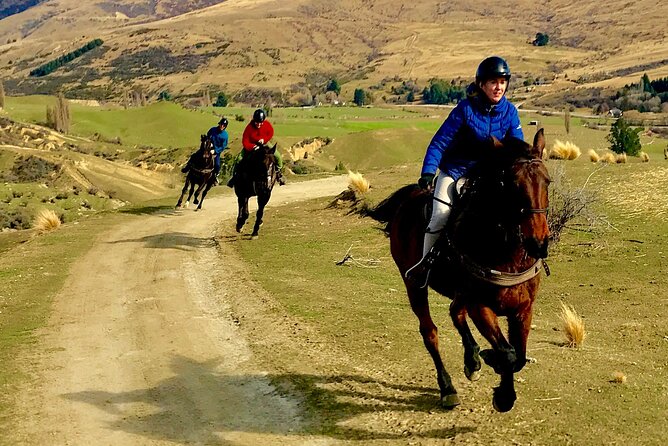 Cardrona High Country Pub Trail Horse Trek (Intermediate level+) - Trotting and cantering are part of the plan