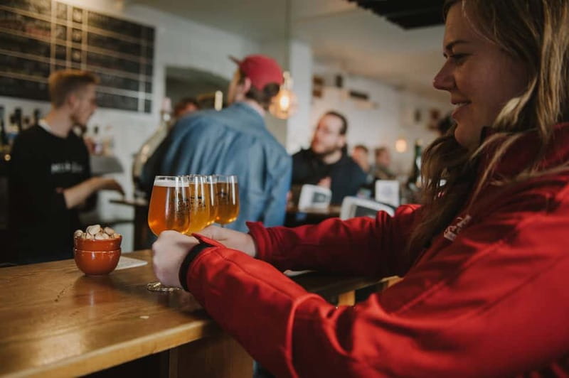 Copenhagen: Small Group Neighborhood Tour with Beer & Pubs - What to know before you go