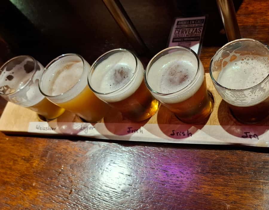 Craft Beer Pub Crawl in Cali - Starting at Botánico in Granada