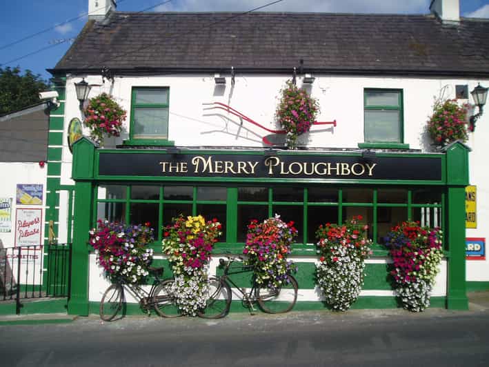 Dublin: Irish Night Show at the Merry Ploughboy Pub - Who should book this evening?