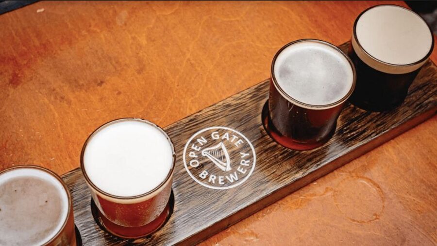 Dublin: Traditional Pubs Walking Tour with Local Guide - Weather, walking, and access