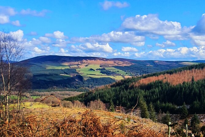 Dublin & Wicklow Mountain Pub Tour small group tour max 15 people - Rathdrum offers a small-community pub stop