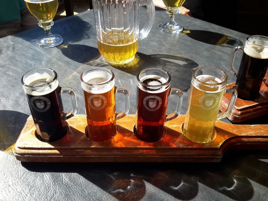 Gdansk Private Polish Beer Tasting Tour at Best Pubs & Bars - Understanding the beer selection
