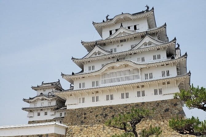 Himeji Bar Hopping Tour - Why the small group matters