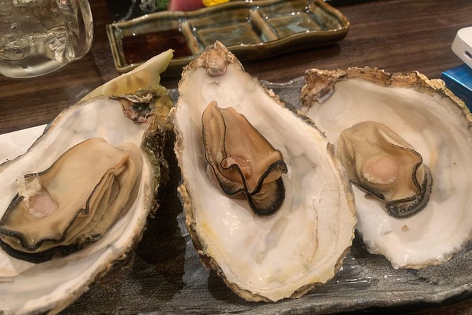 Hiroshima Izakaya Food and Drink Night Tour - Who will enjoy this Hiroshima night tour