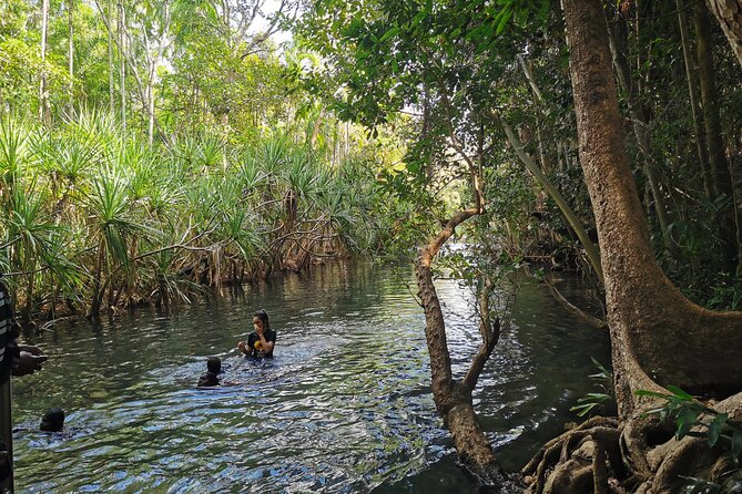 Jumping Croc Cruise, Berry Springs,Fogg Dam & Humpty Doo Pub - Why this Darwin day works so well