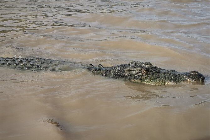 Jumping Croc Cruise, Berry Springs,Fogg Dam & Humpty Doo Pub - Humpty Doo Hotel: the easygoing final stop