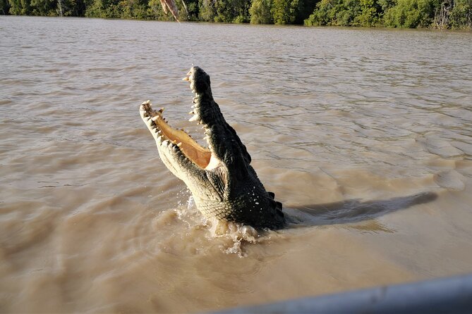 Jumping Croc Cruise, Berry Springs,Fogg Dam & Humpty Doo Pub - The guide makes a real difference