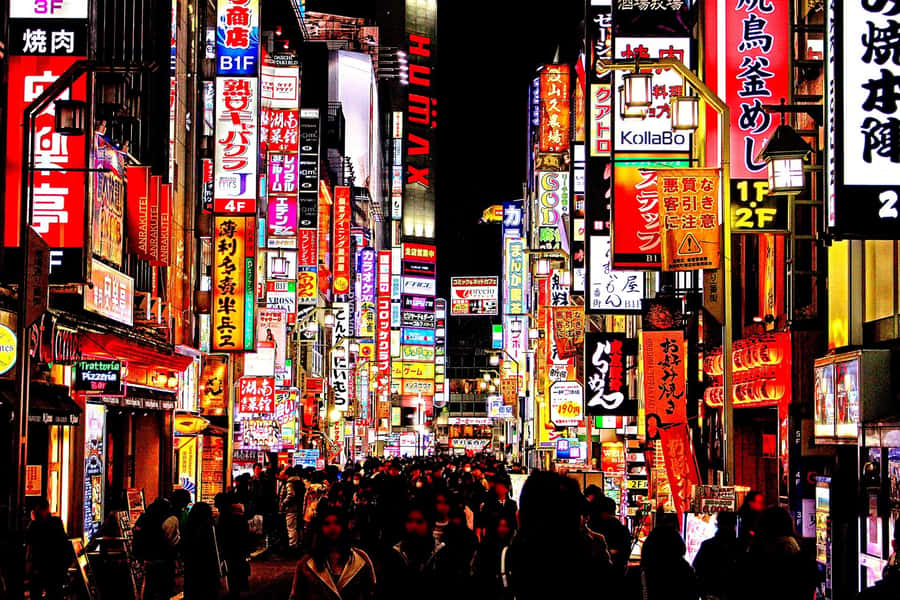 Kabukicho bar hopping & grab a bite tour - Why this Shinjuku night works