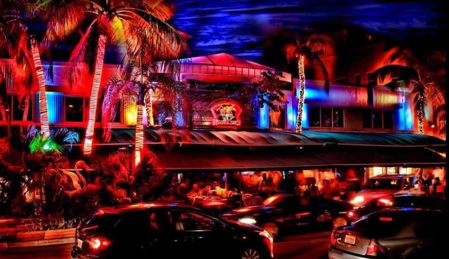 Miami Pub Crawl + Clubbing Experience - Who will enjoy this crawl most