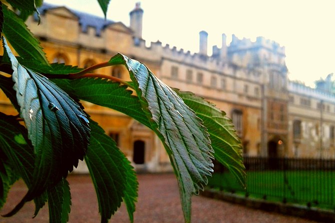 Oxford PRIVATE Pub and City Evening Walking Tour - Is $153.84 good value?