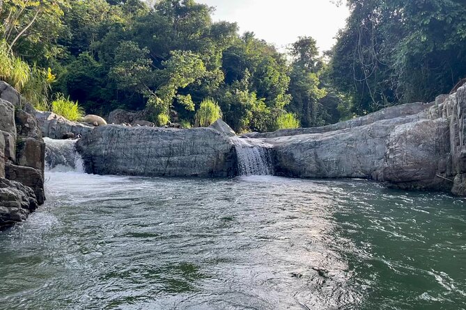 Pinones Bar Hopping Beach Food Tour & Caguas River Hidden Gem - Who will enjoy this outing most?