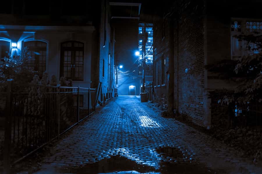 St. Augustine: Haunted Pub Crawl Walking Tour with a Guide - Practical details that affect your choice