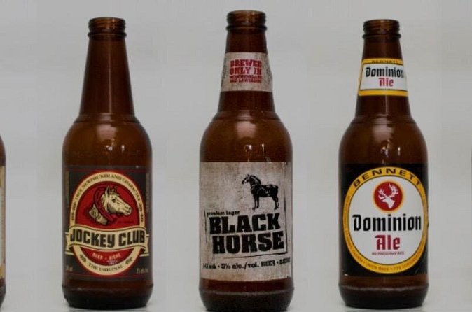 St. John's Local Pub Tour & History Lesson - Who will get the most from this pub crawl